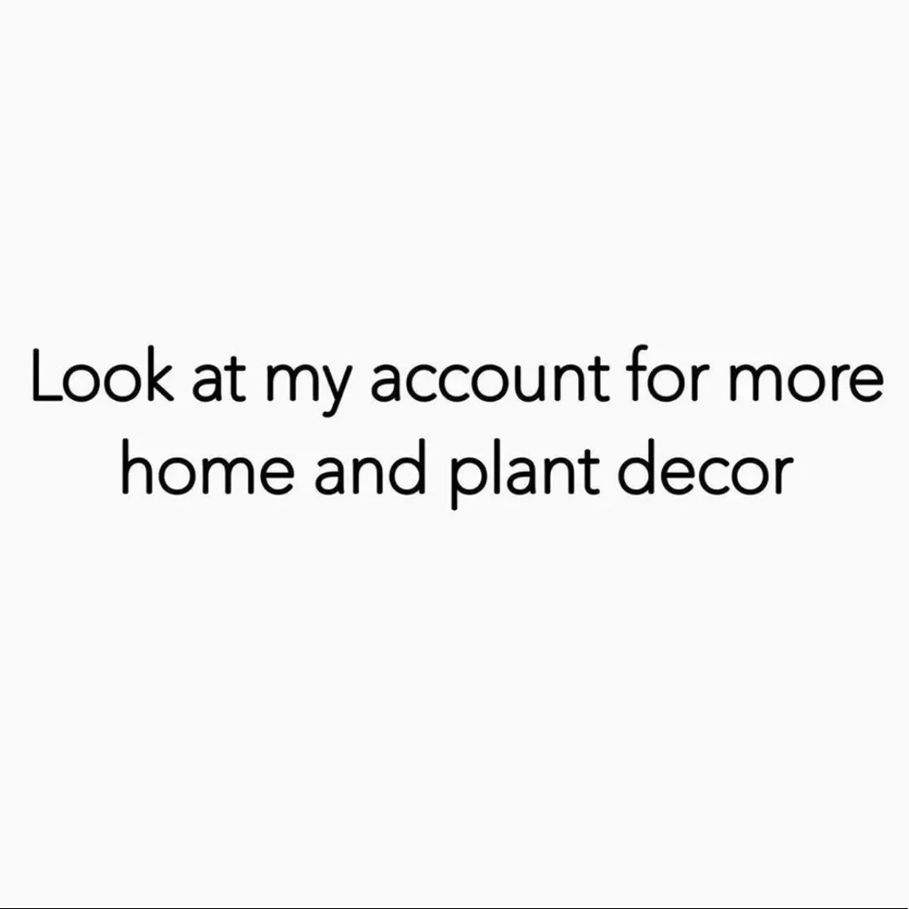 Vining plants bundle (peperomia hope, philo Brasil, marble queen, cebu blue) - Picture 5 of 5